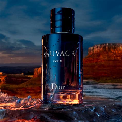 dior sauvage musilum oil|sauvage by dior cologne.